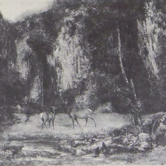 Photo de Musée des beaux-arts de Mulhouse