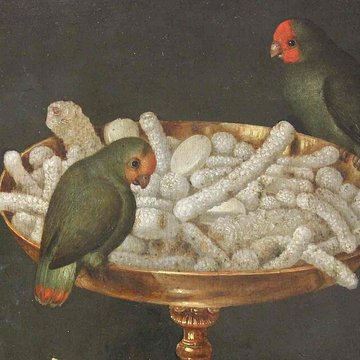 Musée des beaux-arts de Mulhouse