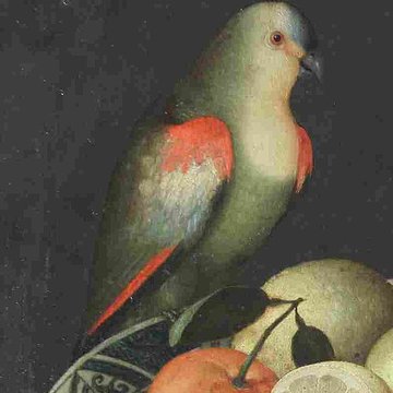 Musée des beaux-arts de Mulhouse