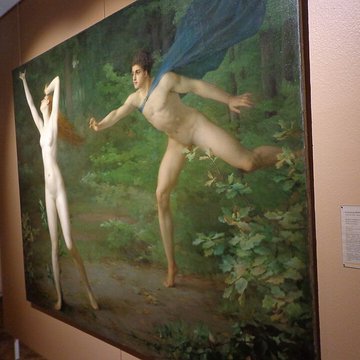 Musée des beaux-arts de Mulhouse