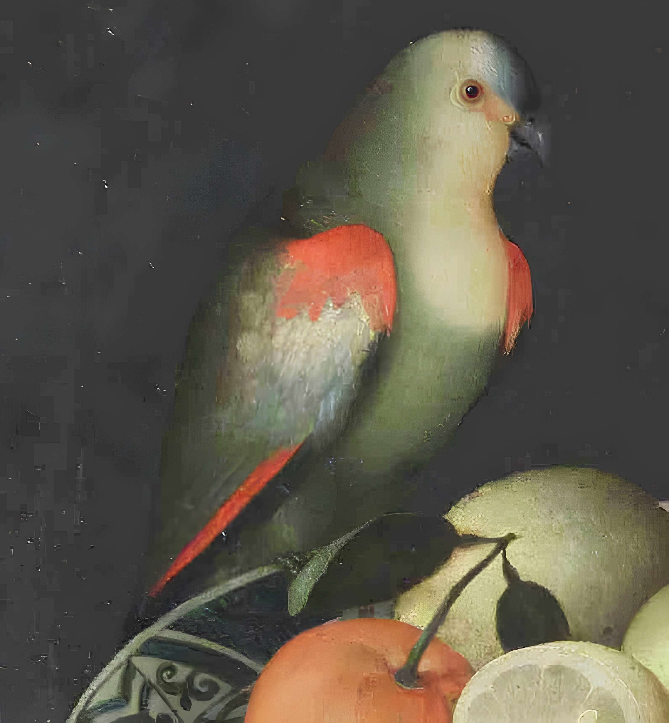 Musée des beaux-arts de Mulhouse