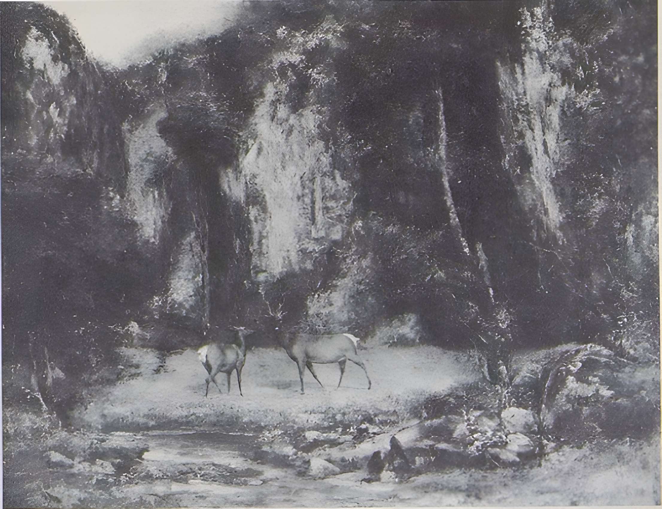 Musée des beaux-arts de Mulhouse