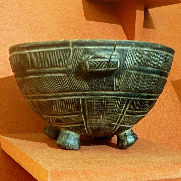 Photo de Musée dhistoire naturelle et dethnographie à Colmar