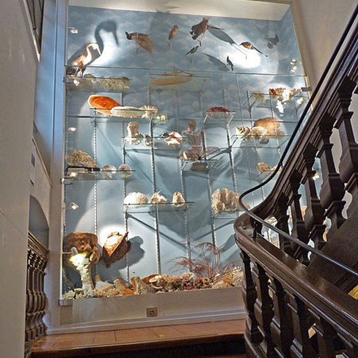 Photo de Musée dhistoire naturelle et dethnographie à Colmar