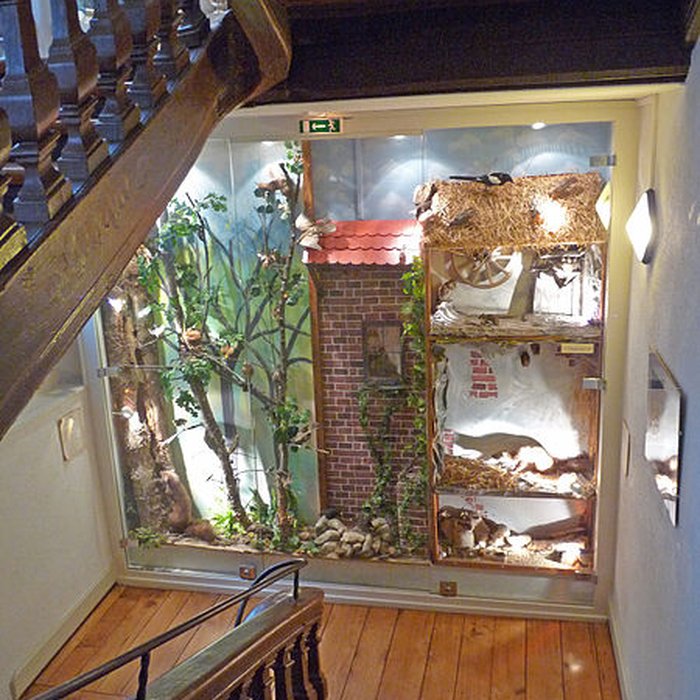 Photo de Musée dhistoire naturelle et dethnographie à Colmar