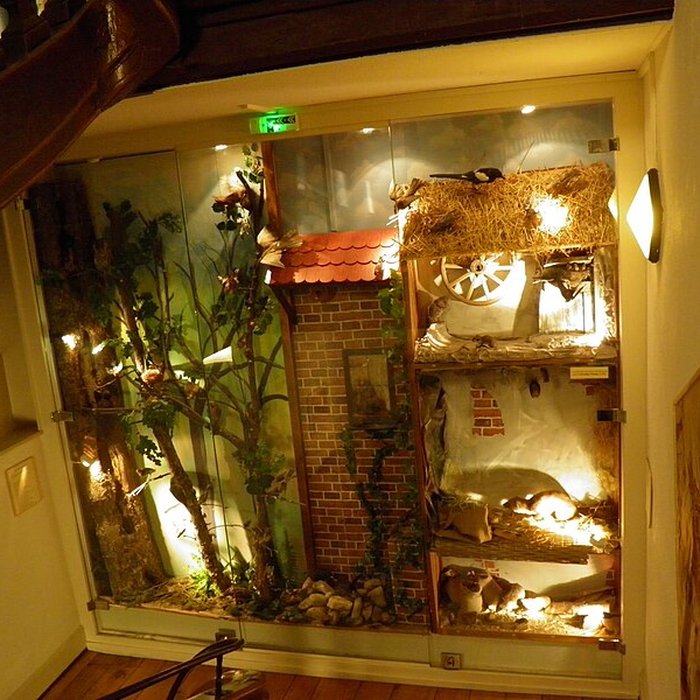 Photo de Musée dhistoire naturelle et dethnographie à Colmar