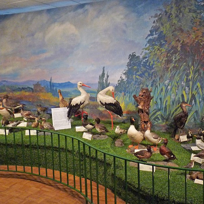 Photo de Musée dhistoire naturelle et dethnographie à Colmar