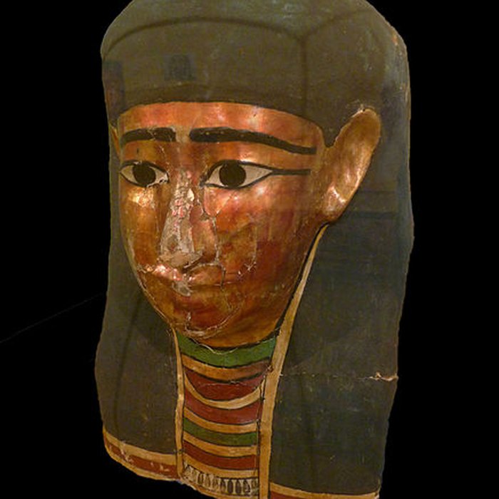 Photo de Musée dhistoire naturelle et dethnographie à Colmar