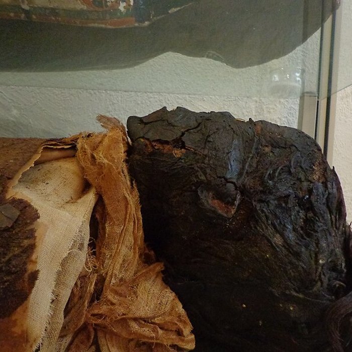 Photo de Musée dhistoire naturelle et dethnographie à Colmar