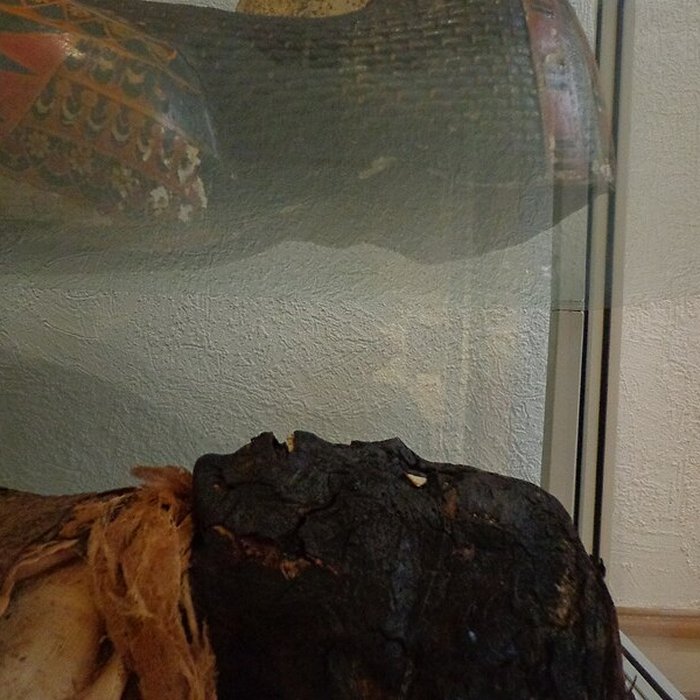 Photo de Musée dhistoire naturelle et dethnographie à Colmar