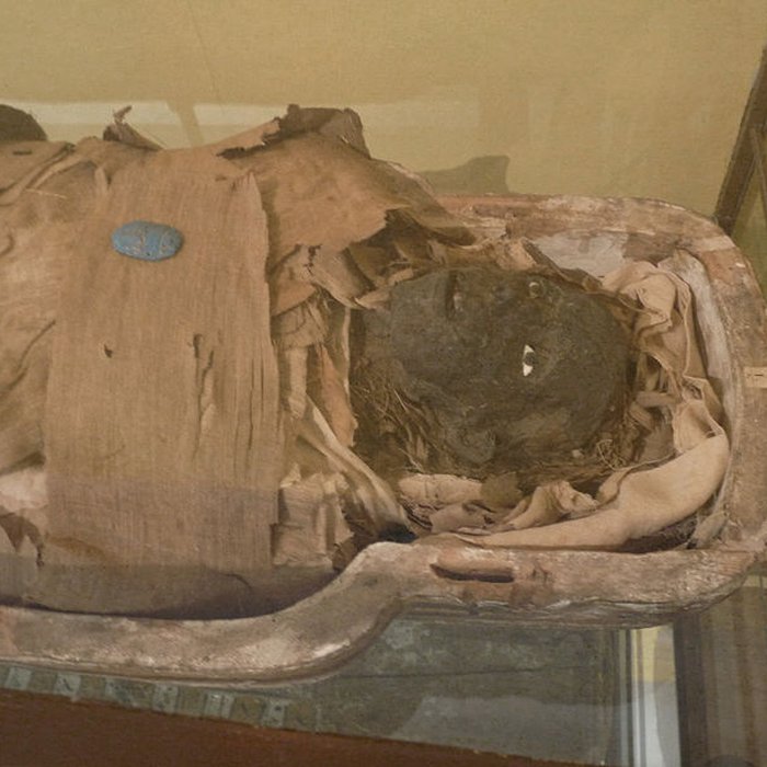 Photo de Musée dhistoire naturelle et dethnographie à Colmar