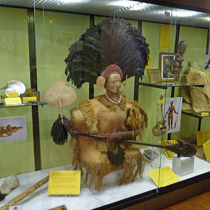 Photo de Musée dhistoire naturelle et dethnographie à Colmar