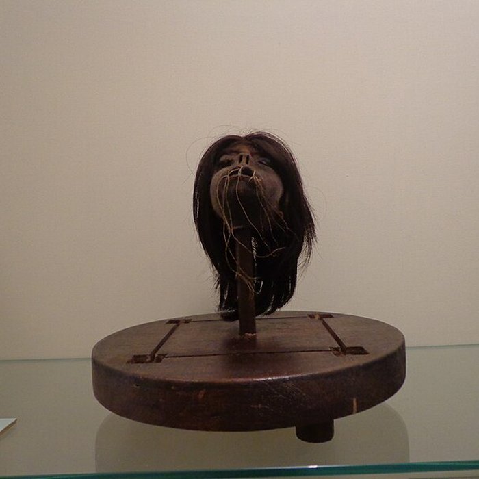 Photo de Musée dhistoire naturelle et dethnographie à Colmar