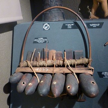 Musée dhistoire naturelle et dethnographie à Colmar