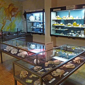 Musée dhistoire naturelle et dethnographie à Colmar