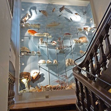 Musée dhistoire naturelle et dethnographie à Colmar