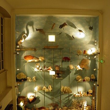 Musée dhistoire naturelle et dethnographie à Colmar