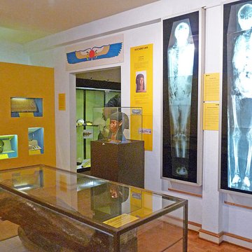 Musée dhistoire naturelle et dethnographie à Colmar