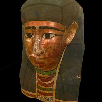 Musée dhistoire naturelle et dethnographie à Colmar