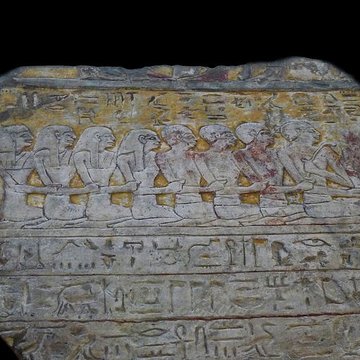 Musée dhistoire naturelle et dethnographie à Colmar