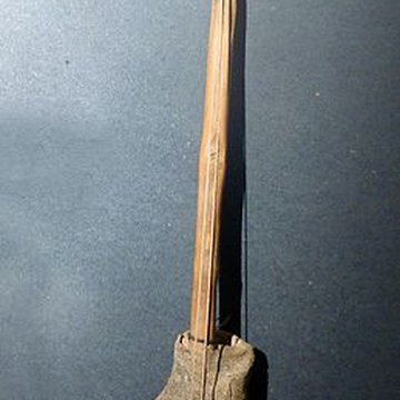 Musée dhistoire naturelle et dethnographie à Colmar