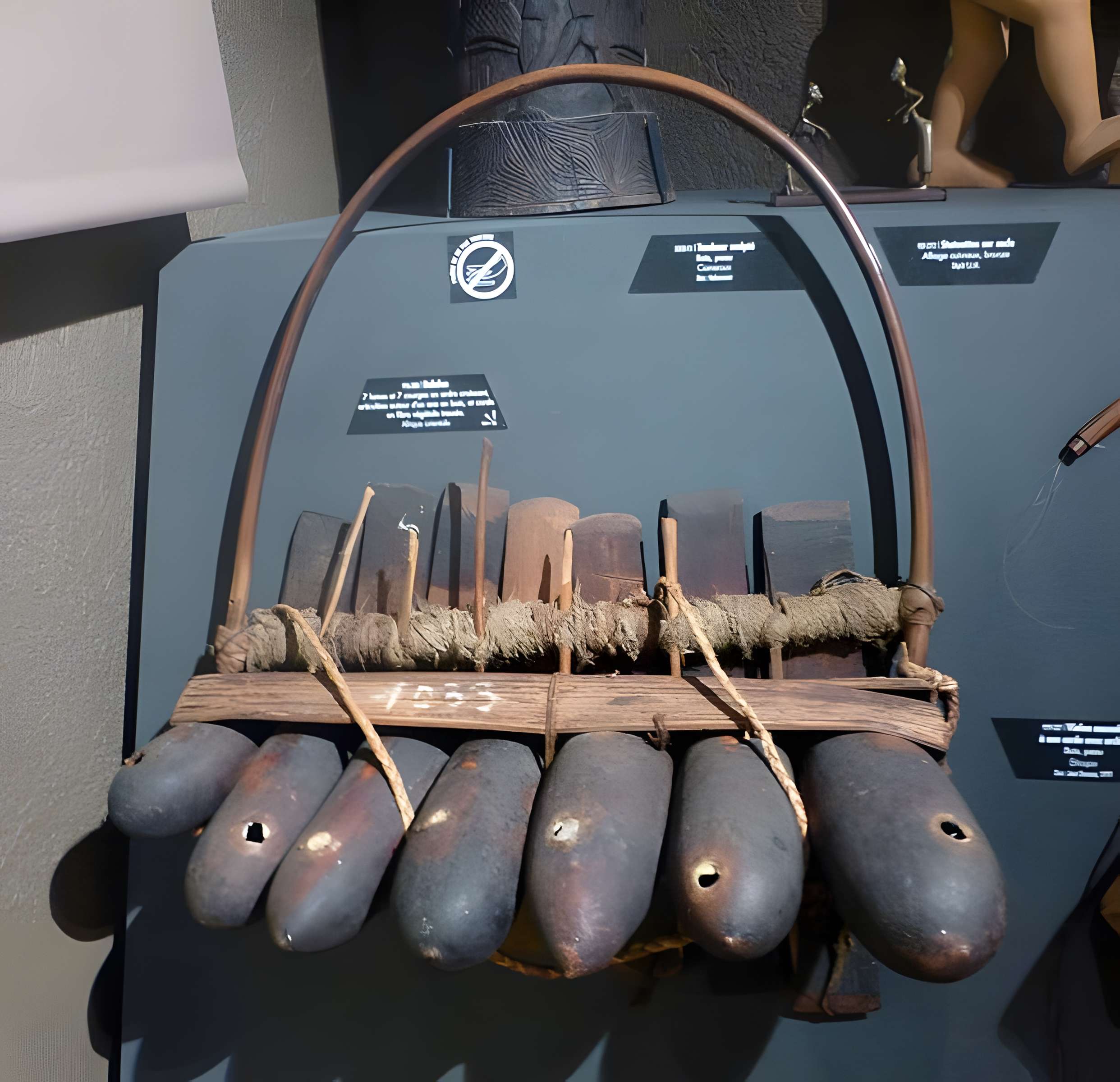 Musée d'histoire naturelle et d'ethnographie à Colmar