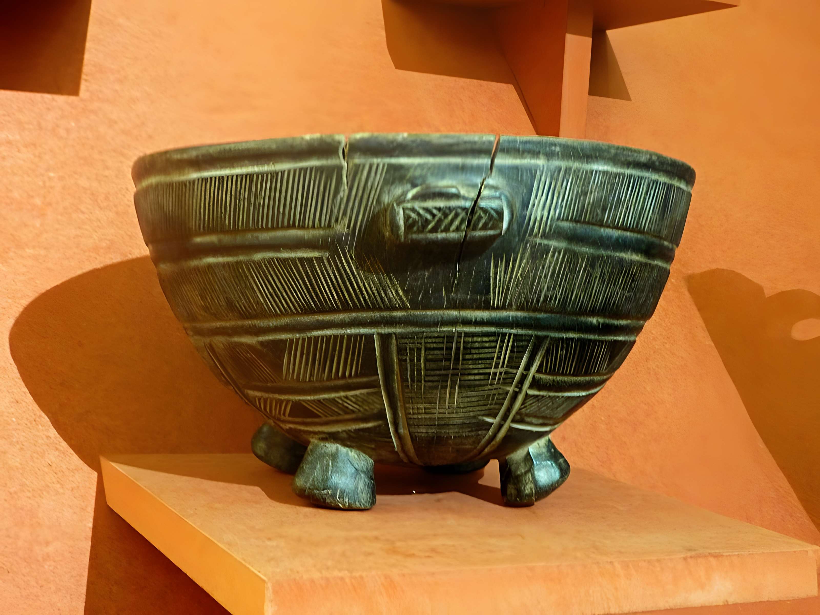 Musée d'histoire naturelle et d'ethnographie à Colmar