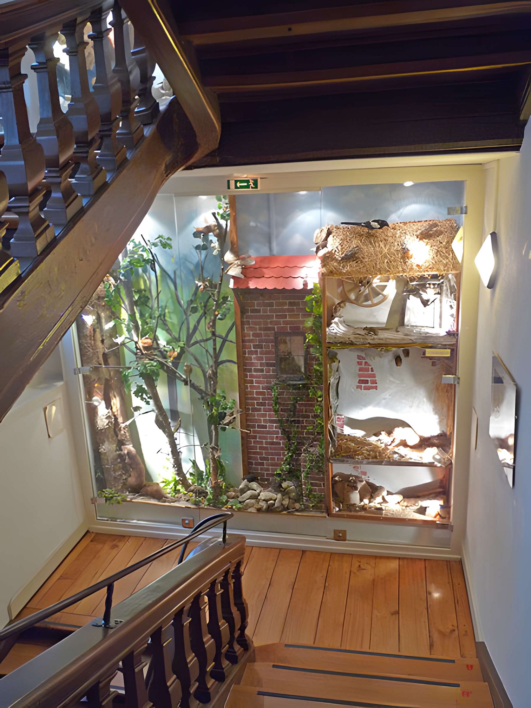 Musée d'histoire naturelle et d'ethnographie à Colmar