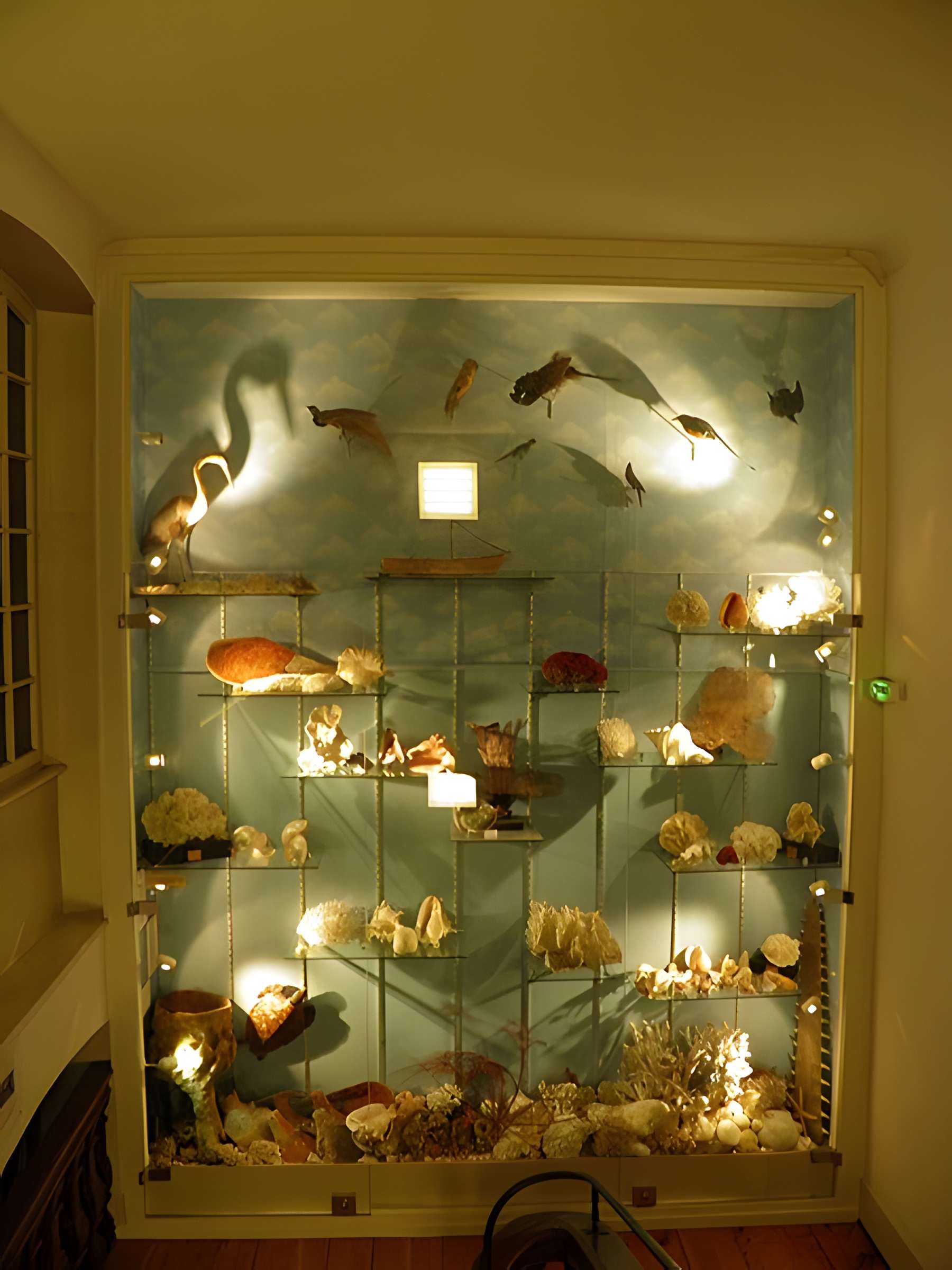 Musée d'histoire naturelle et d'ethnographie à Colmar