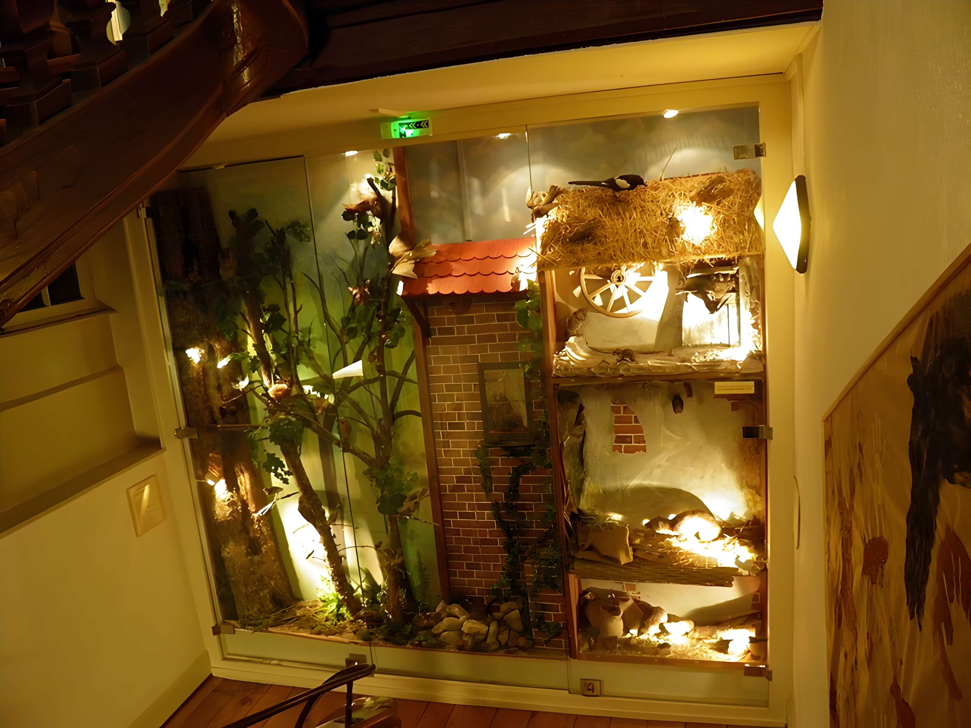 Musée d'histoire naturelle et d'ethnographie à Colmar