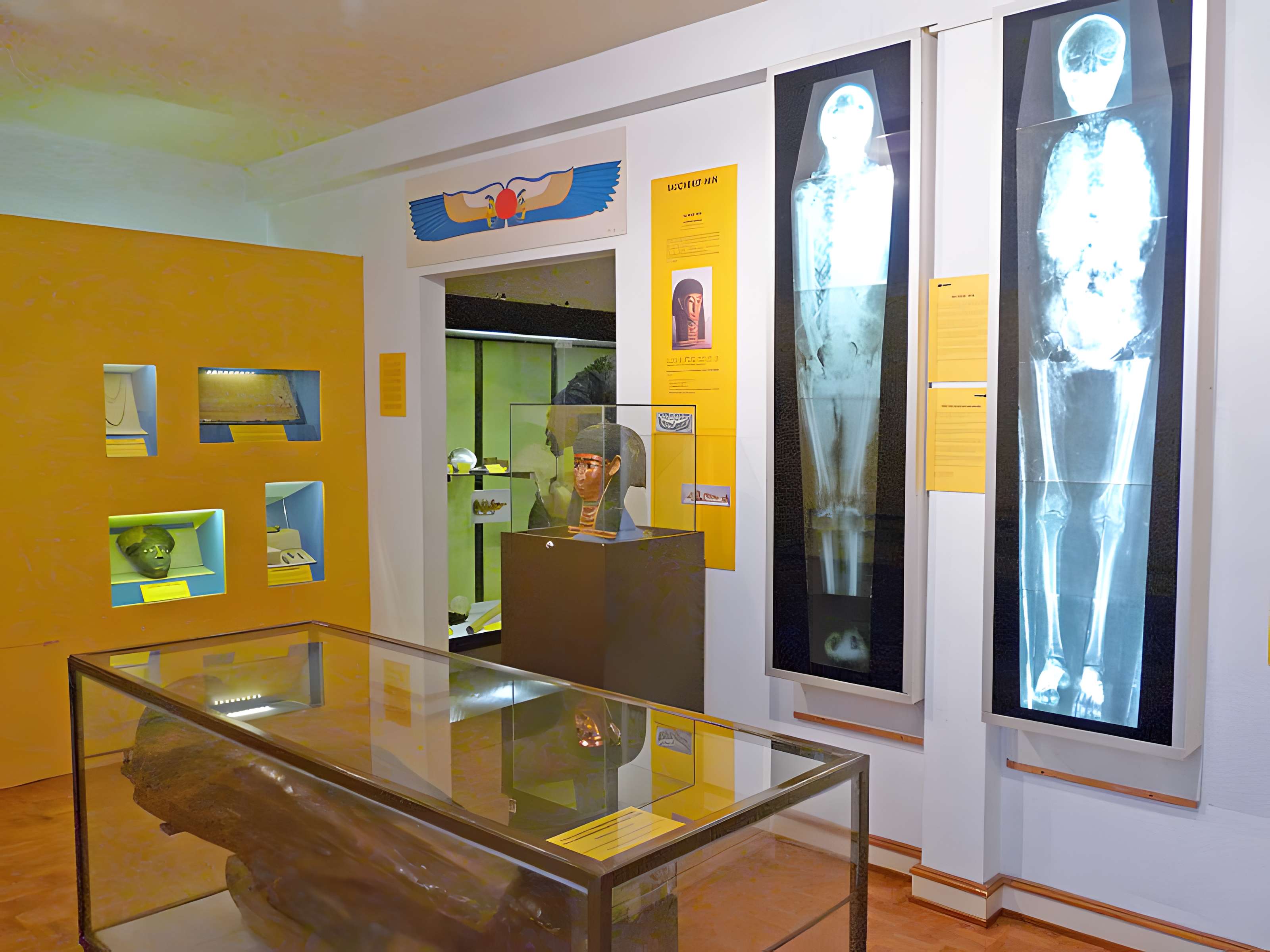 Musée d'histoire naturelle et d'ethnographie à Colmar