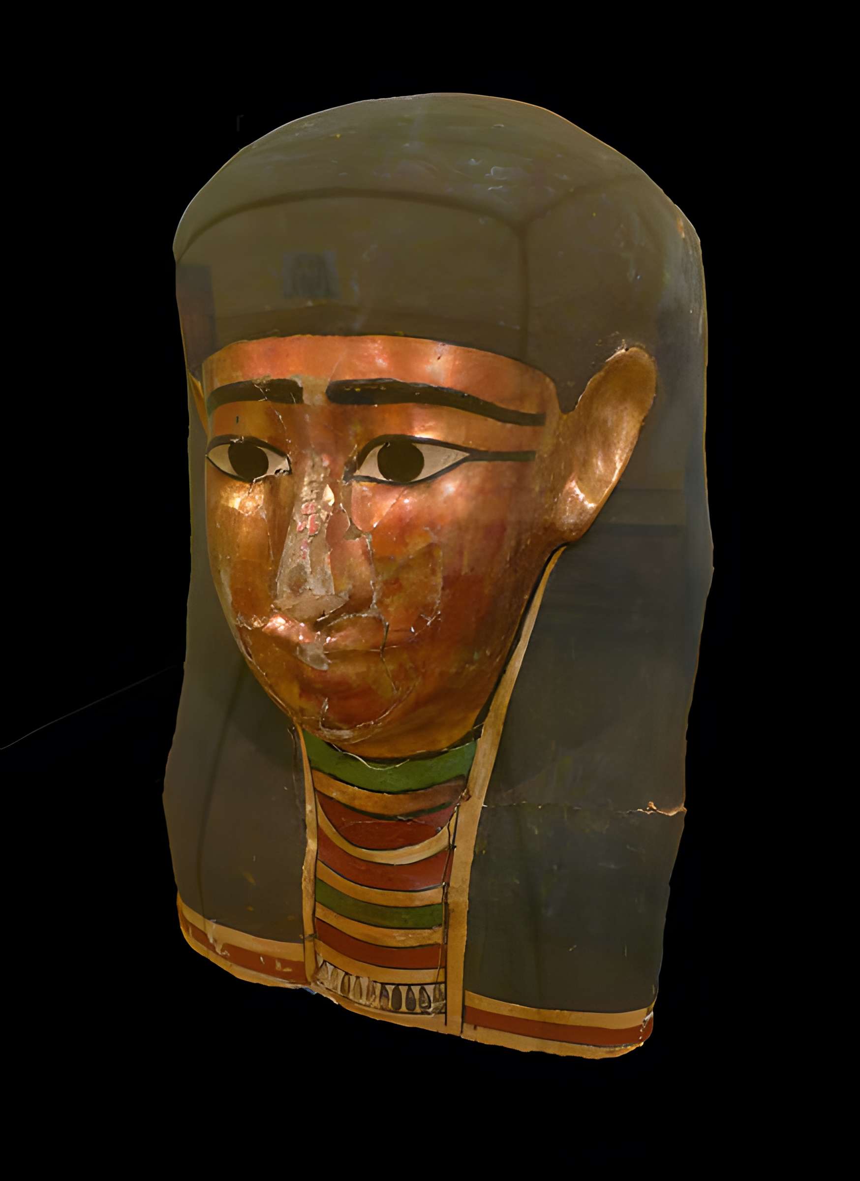 Musée d'histoire naturelle et d'ethnographie à Colmar