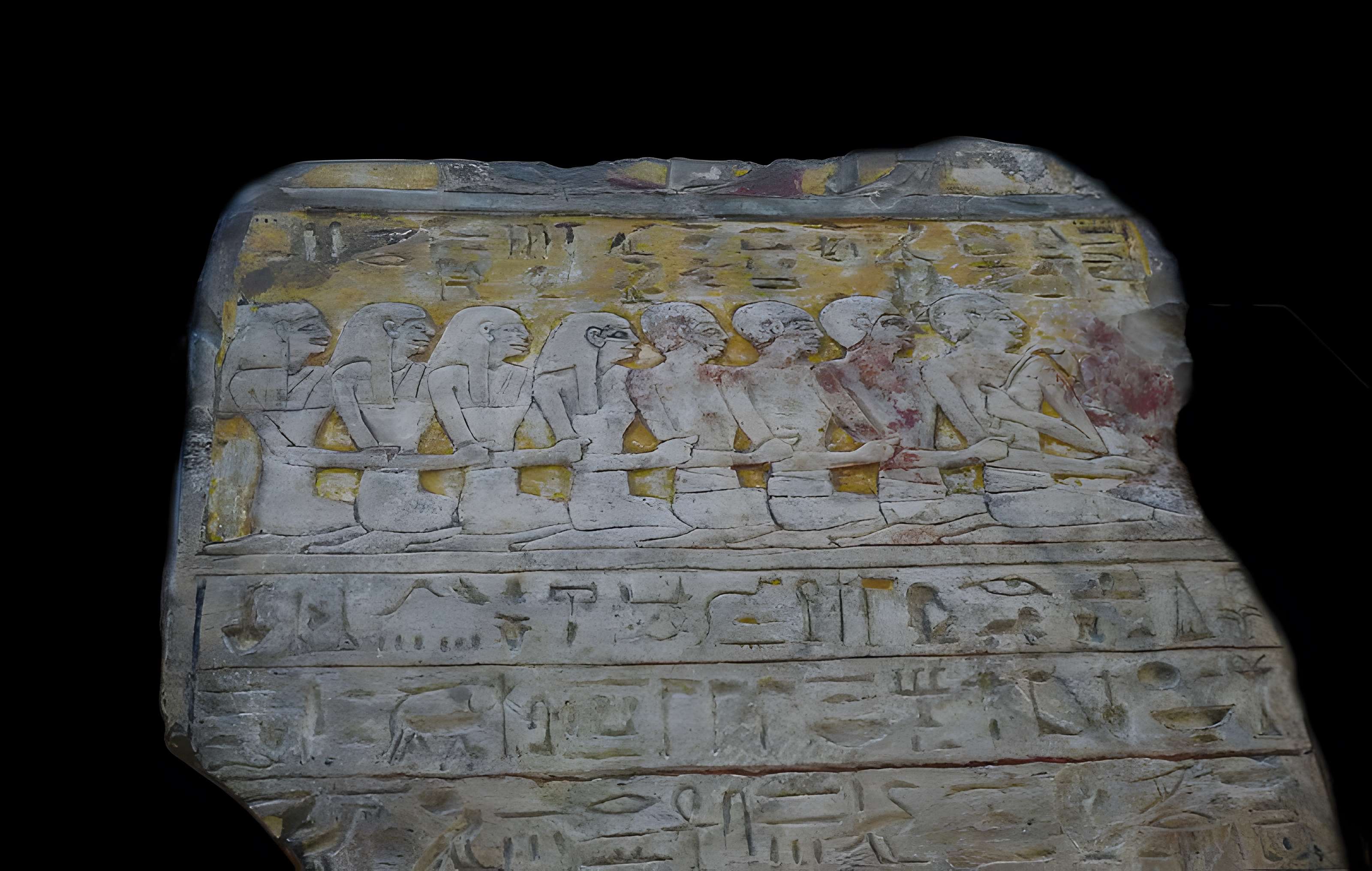 Musée d'histoire naturelle et d'ethnographie à Colmar