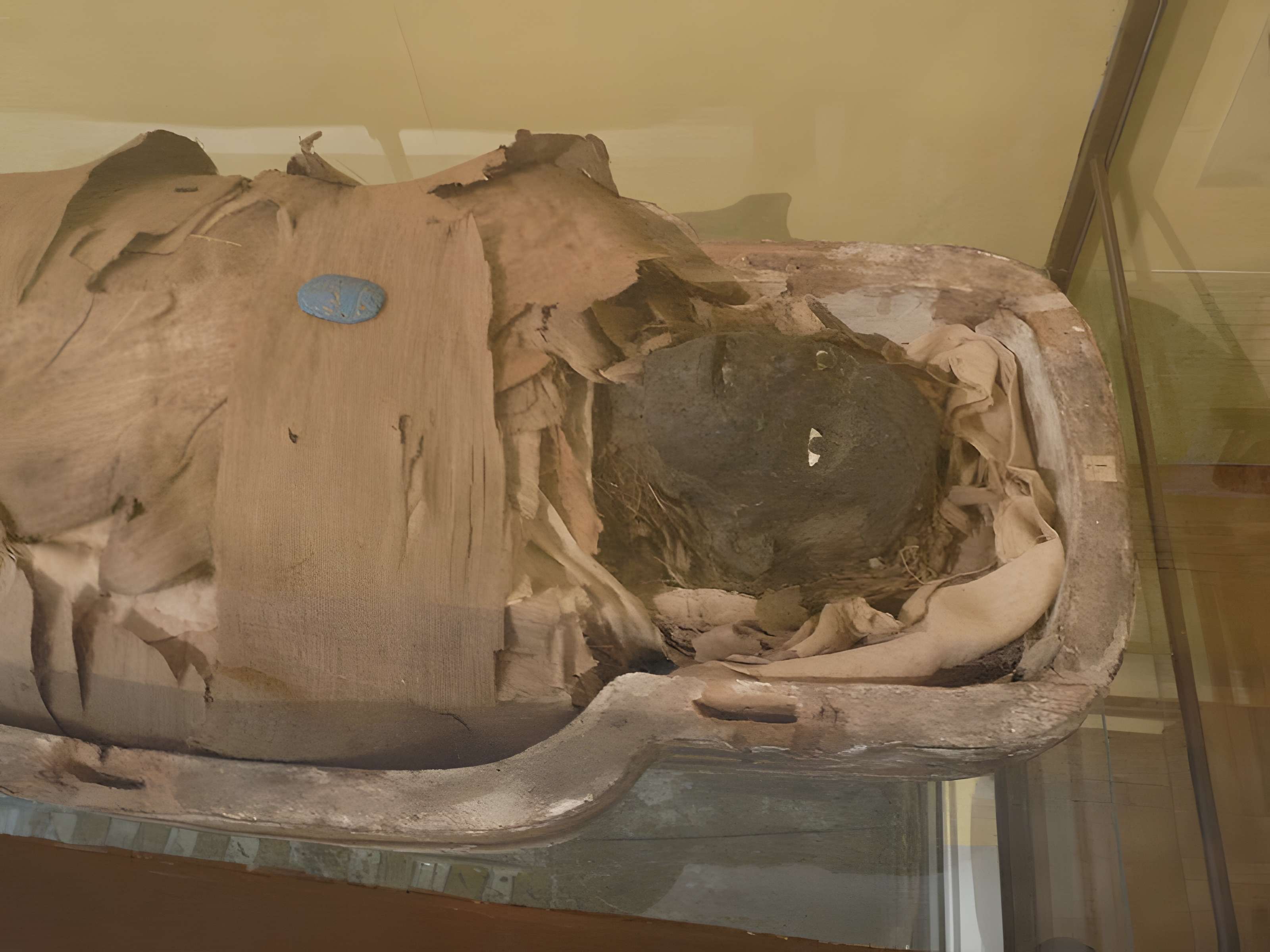 Musée d'histoire naturelle et d'ethnographie à Colmar