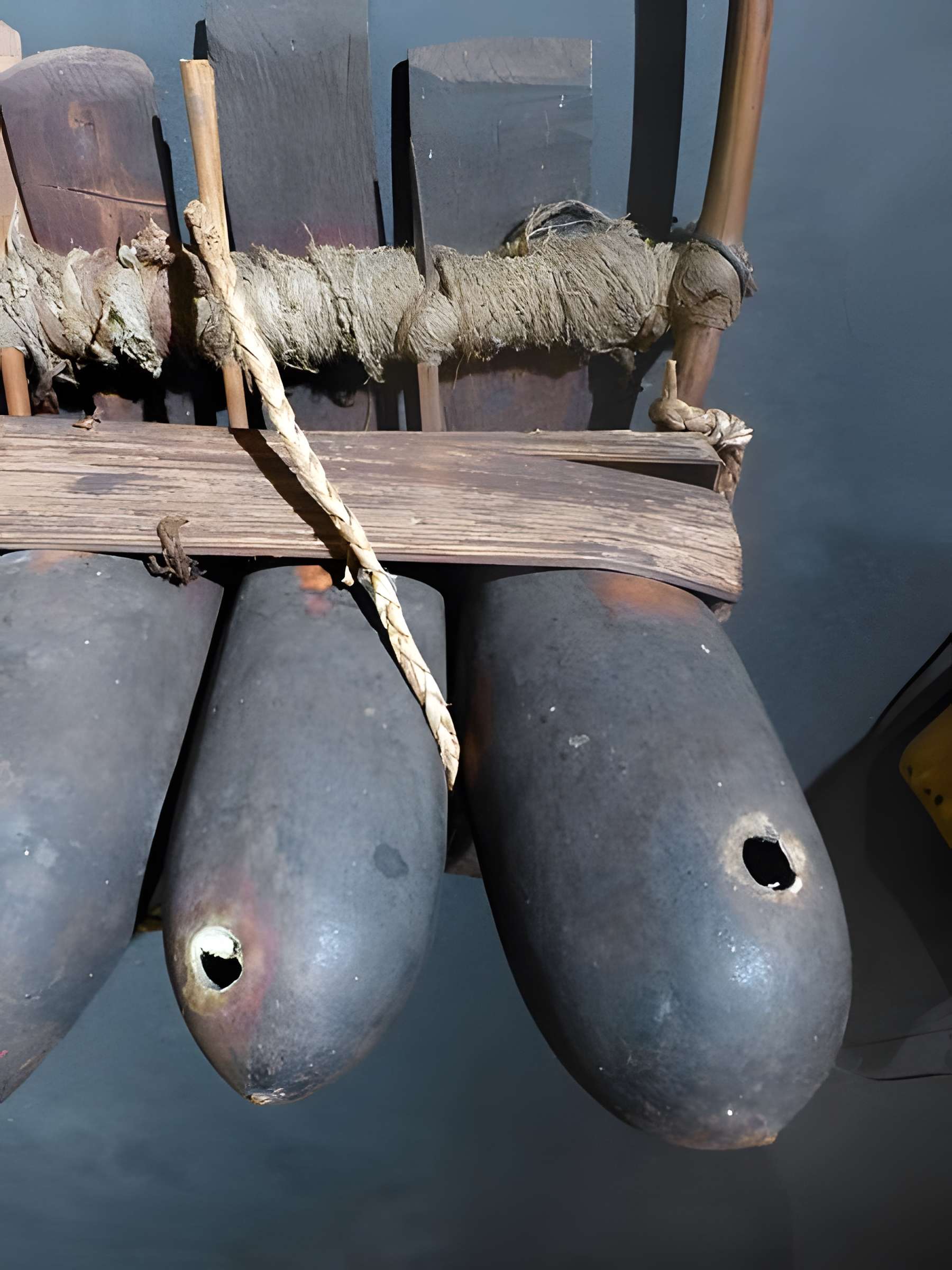 Musée d'histoire naturelle et d'ethnographie à Colmar