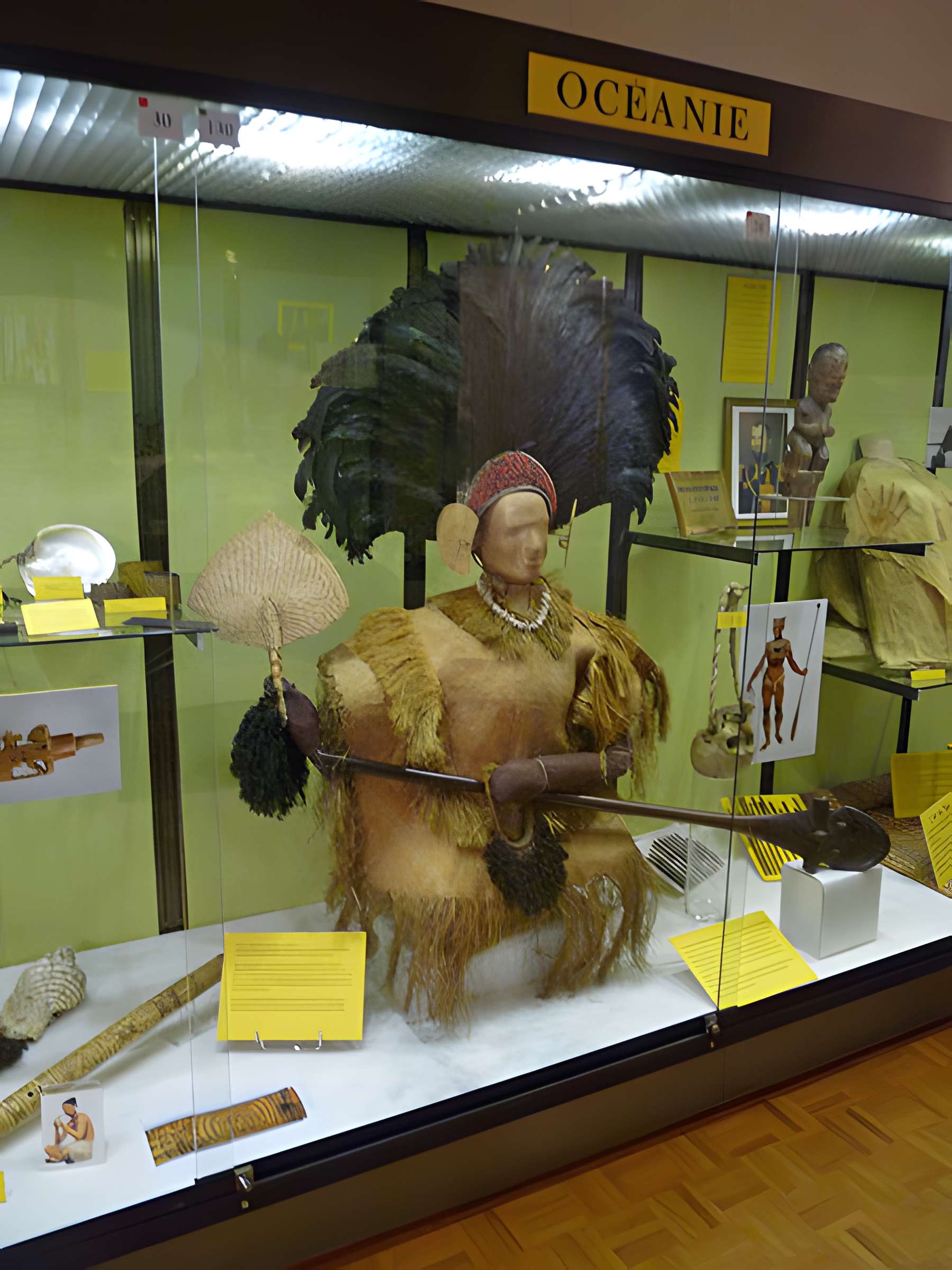 Musée d'histoire naturelle et d'ethnographie à Colmar