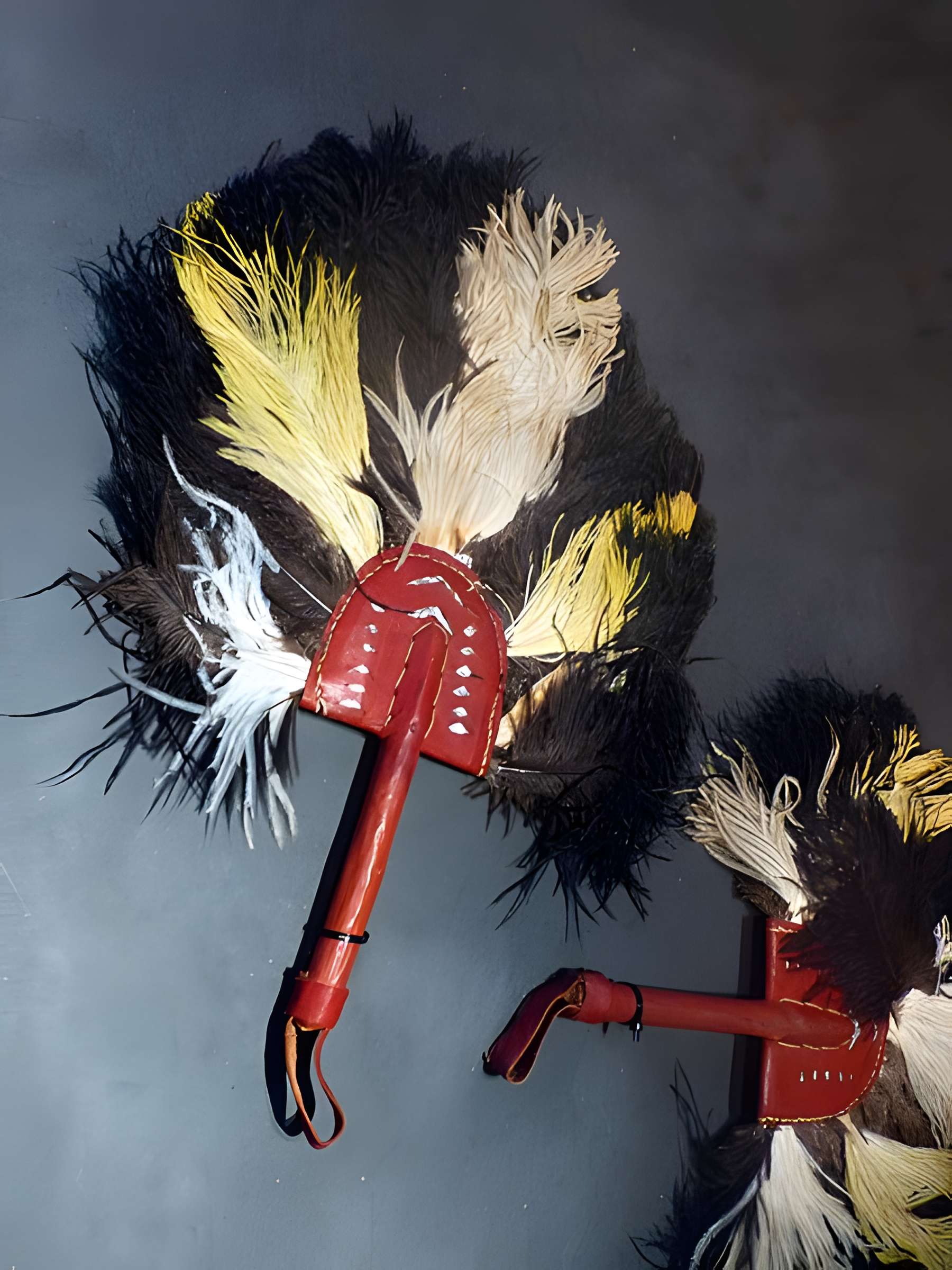 Musée d'histoire naturelle et d'ethnographie à Colmar