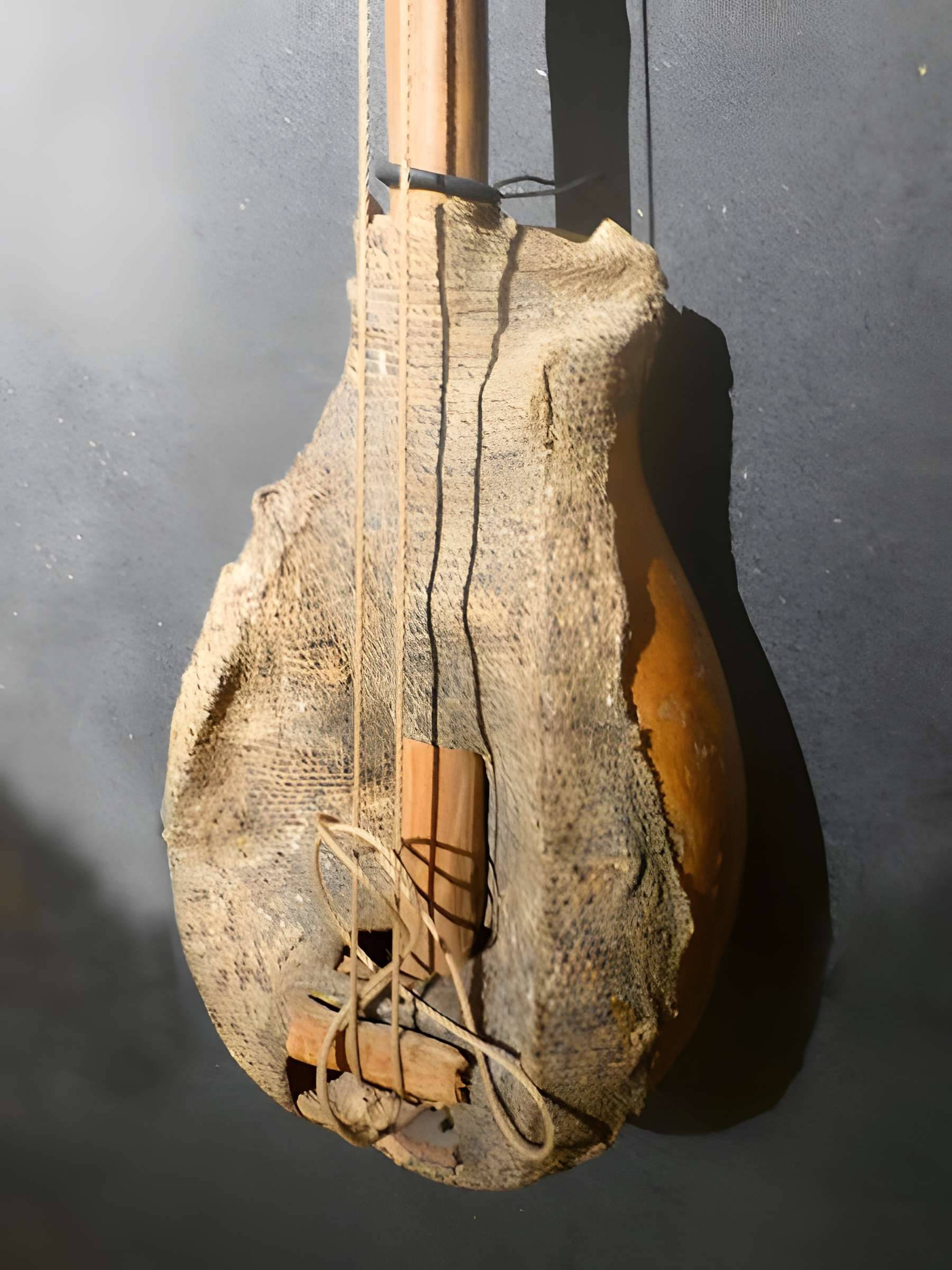 Musée d'histoire naturelle et d'ethnographie à Colmar