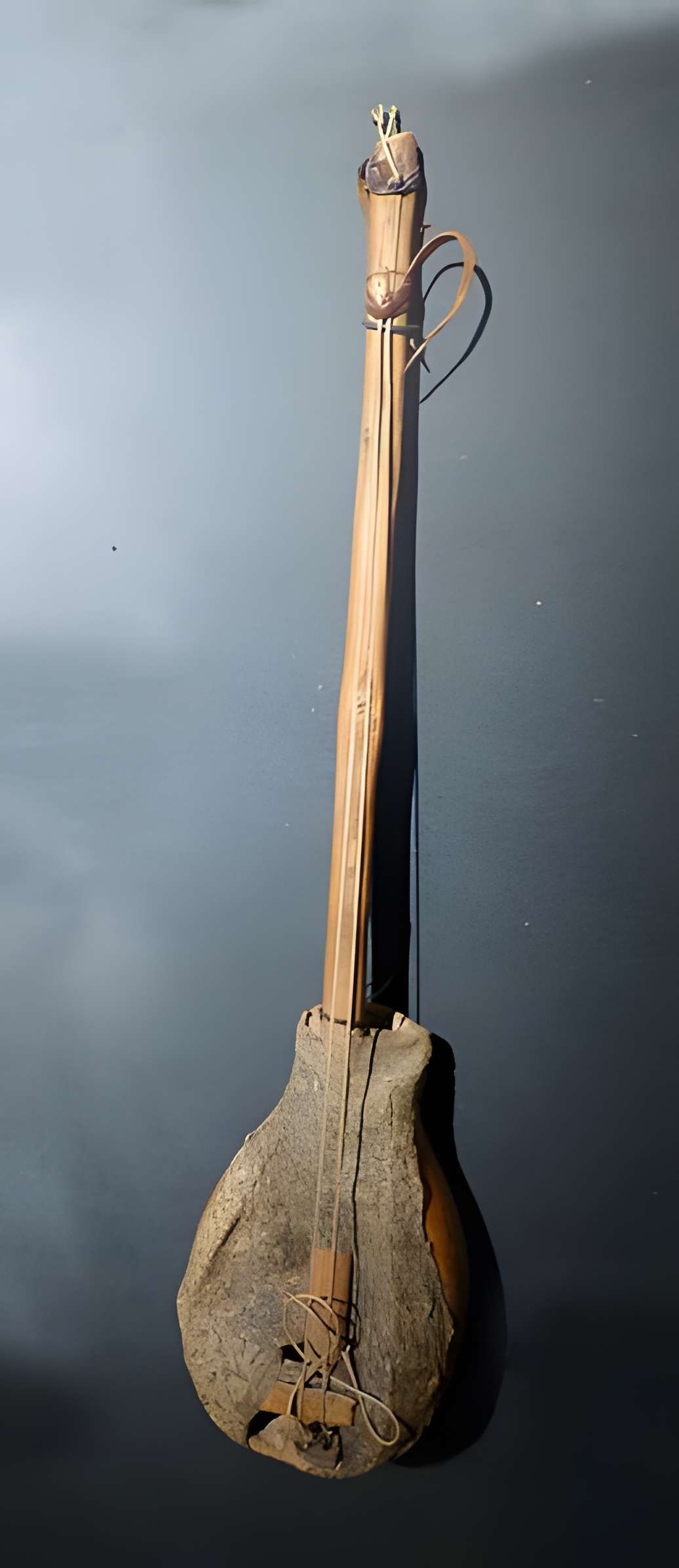 Musée d'histoire naturelle et d'ethnographie à Colmar