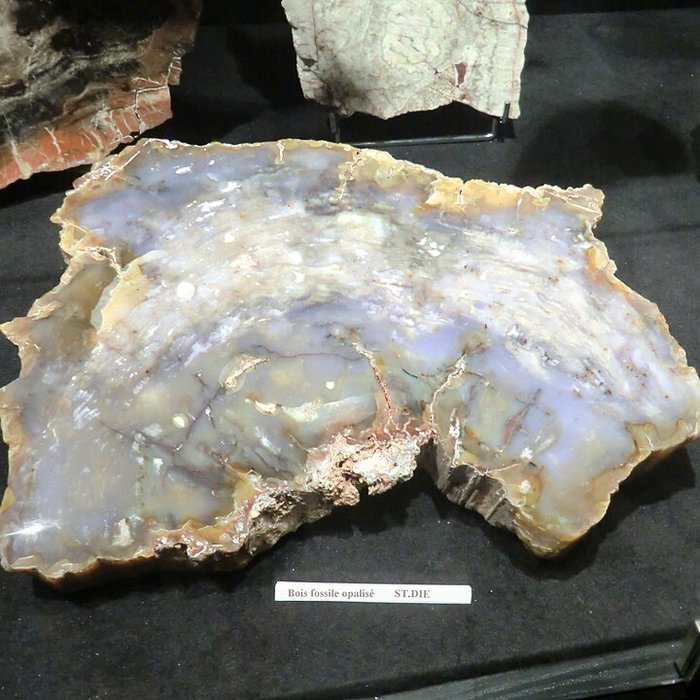 Photo de Musée Théodore Deck et des pays du Florival