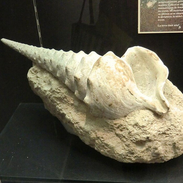 Photo de Musée Théodore Deck et des pays du Florival