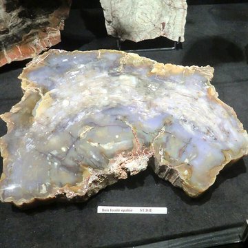 Musée Théodore Deck et des pays du Florival