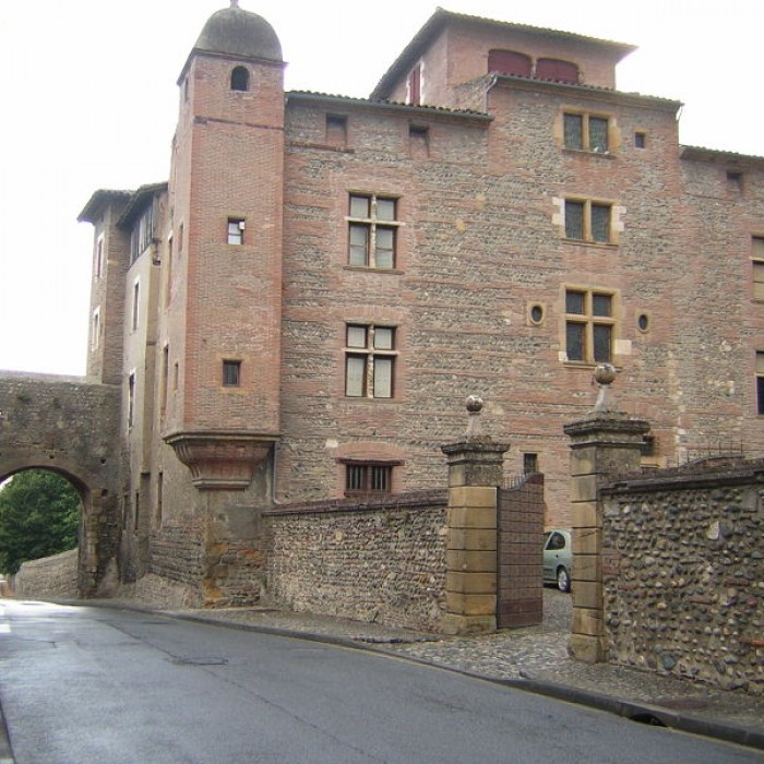 Photo de Château de Palaminy