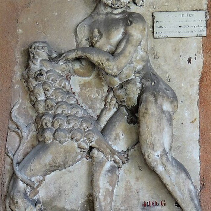 Photo de Musée dart et darchéologie du Périgord à Périgueux