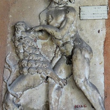 Musée dart et darchéologie du Périgord à Périgueux