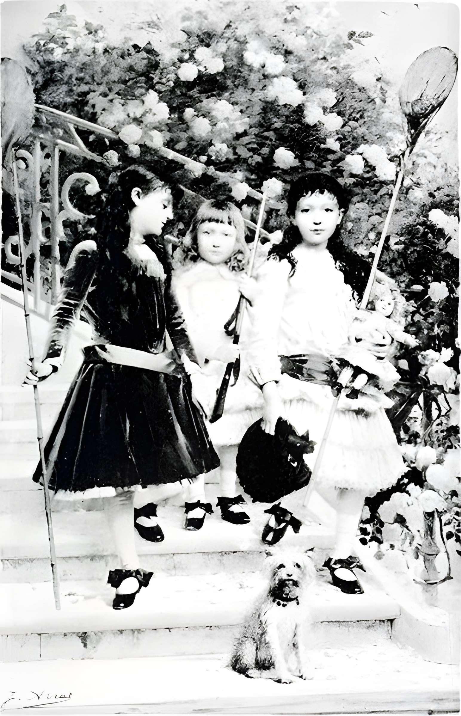 Musée d'art et d'archéologie du Périgord à Périgueux