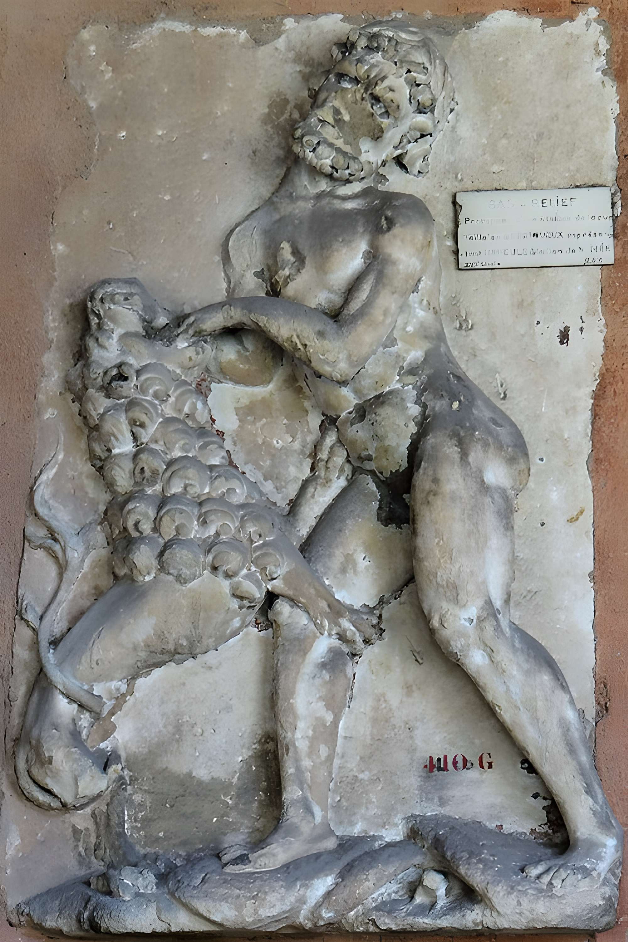 Musée d'art et d'archéologie du Périgord à Périgueux