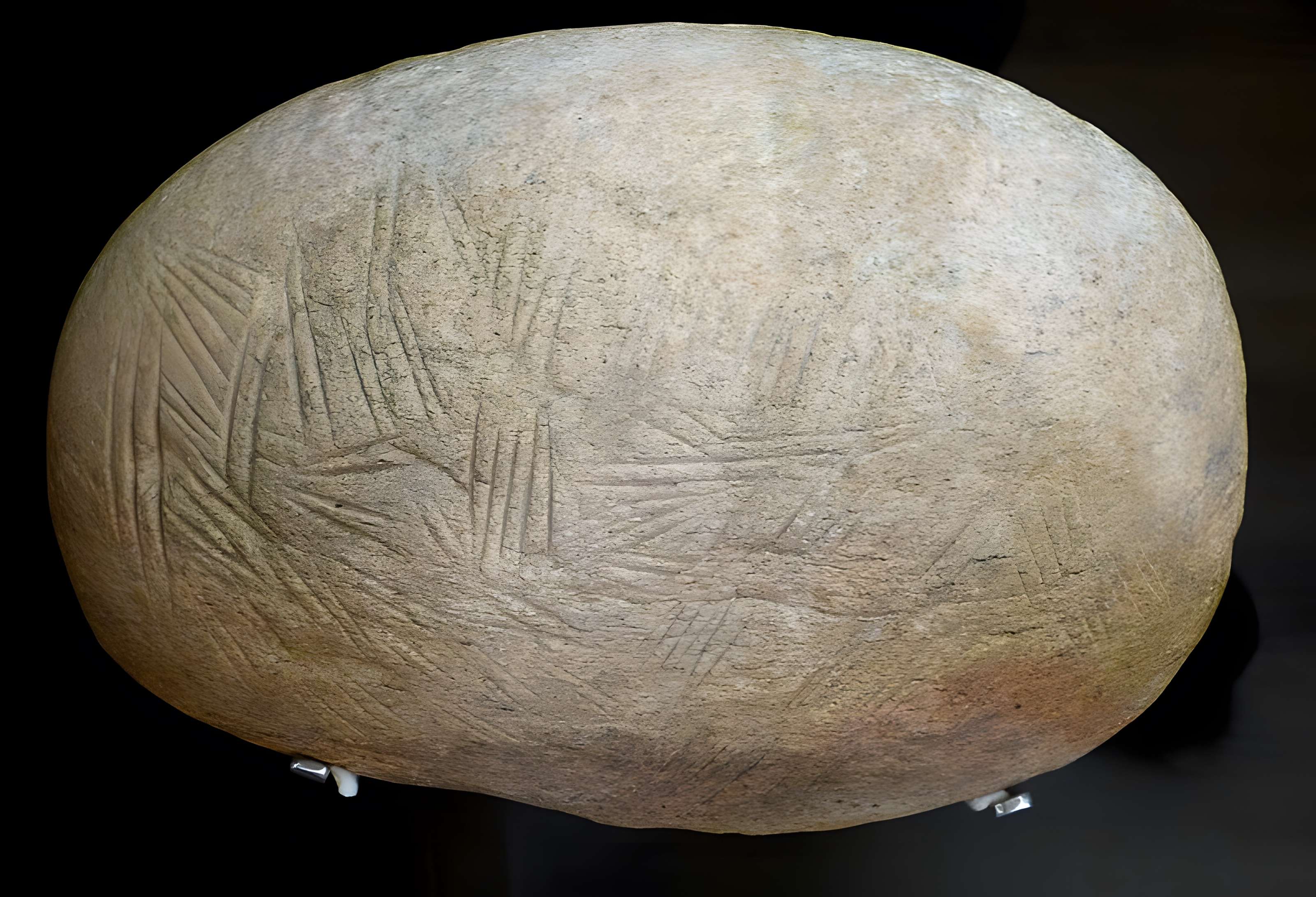 Musée de la préhistoire des Eyzies-de-Tayac-Sireuil