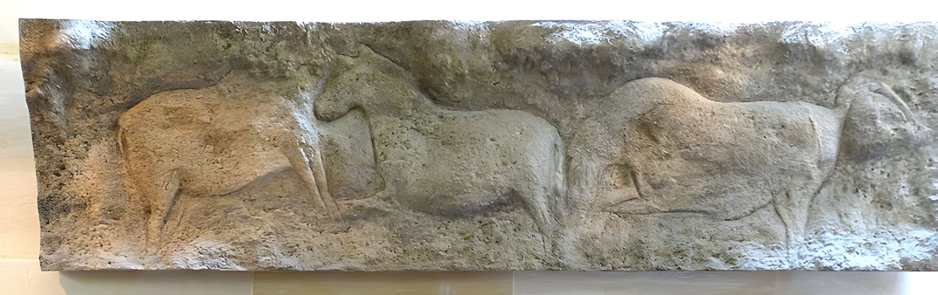 Musée de la préhistoire des Eyzies-de-Tayac-Sireuil