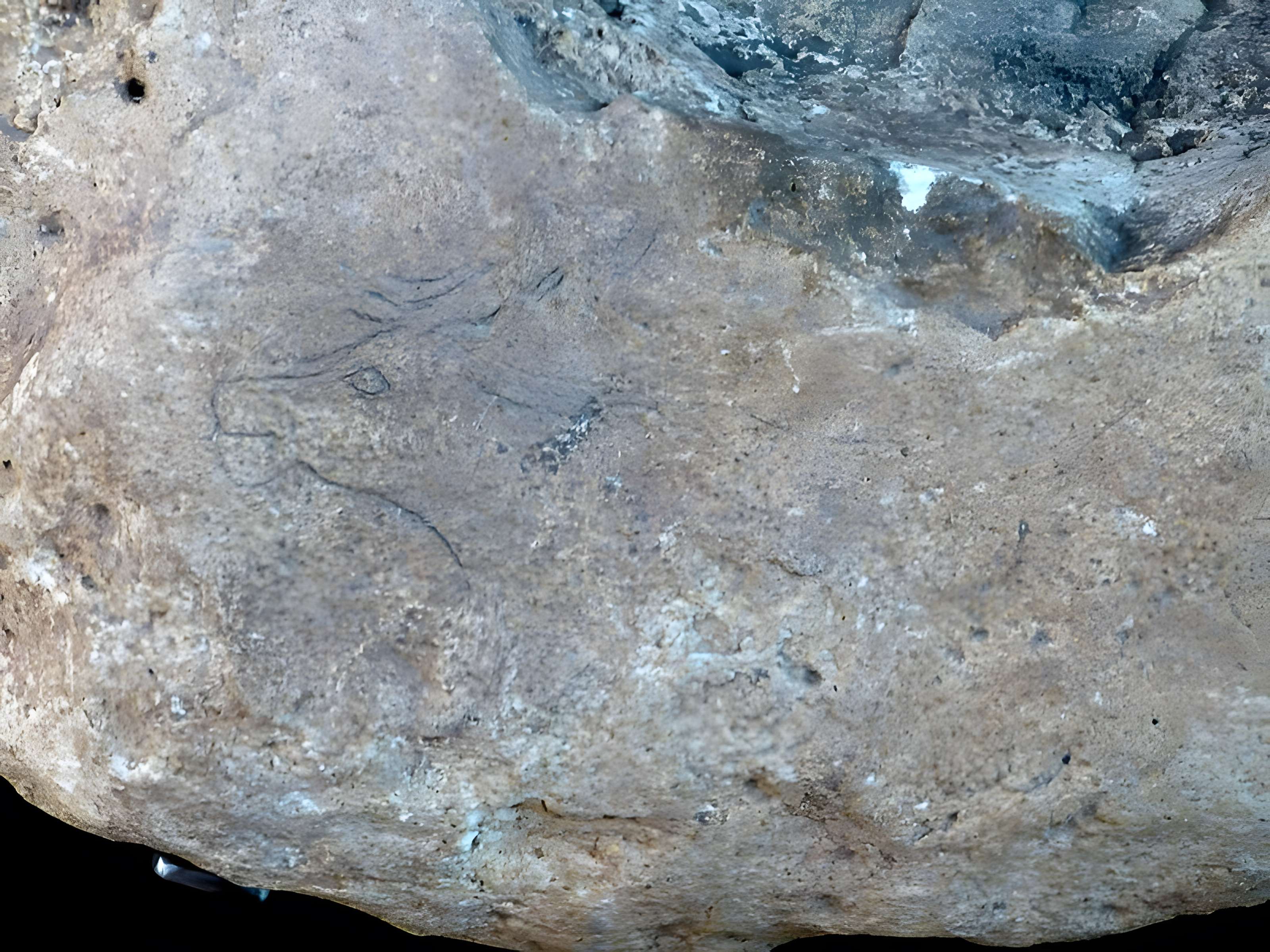 Musée de la préhistoire des Eyzies-de-Tayac-Sireuil